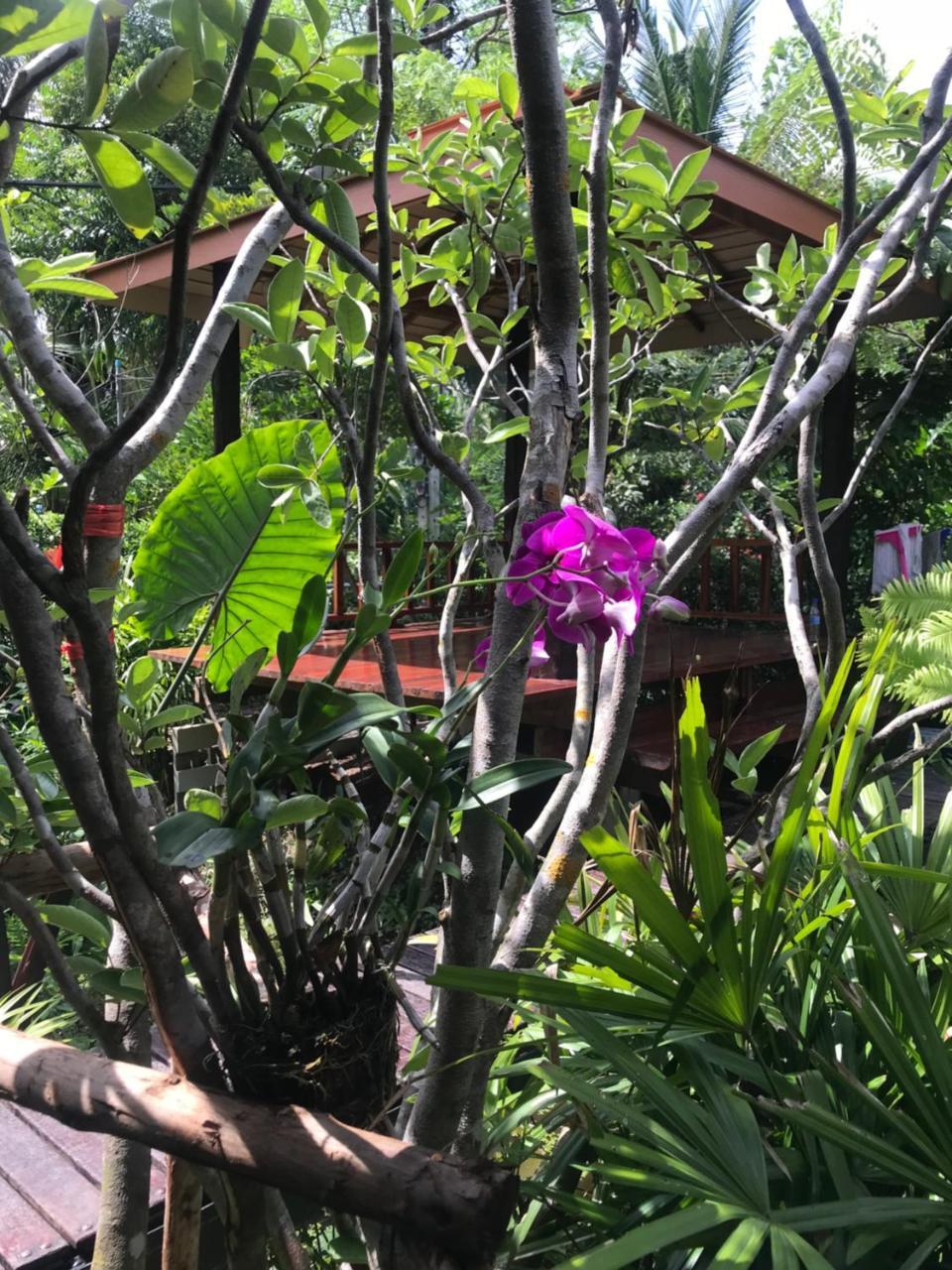88 Homestay Bang Chak المظهر الخارجي الصورة